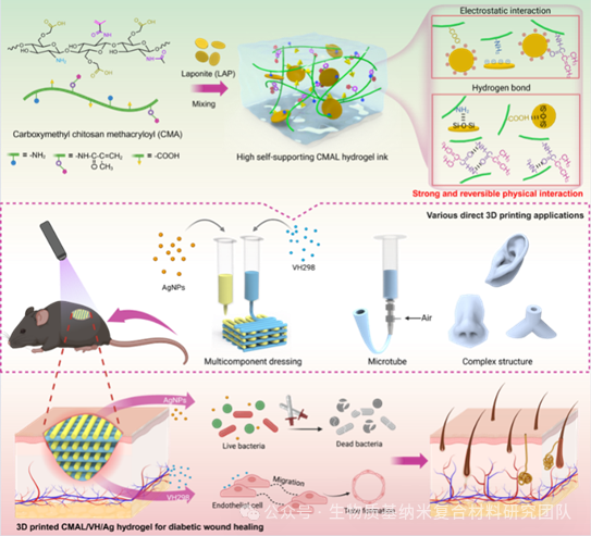 High Self-Supporting Chitosan-Based Hydrogel Ink for In Situ 3D Printed Diabetic Wound Dressing