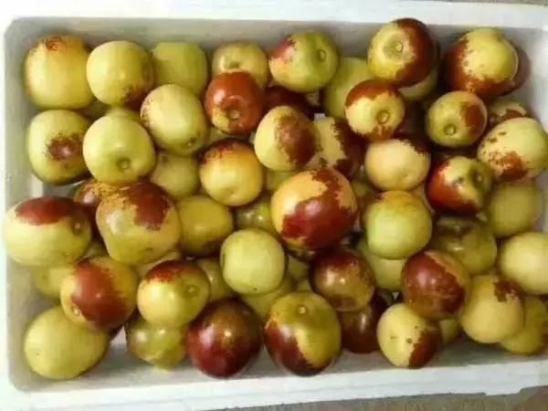 The Vitamin C Powerhouse of Fruits: Daily Consumption of Six to Seven for Strong Immunity and Liver Protection