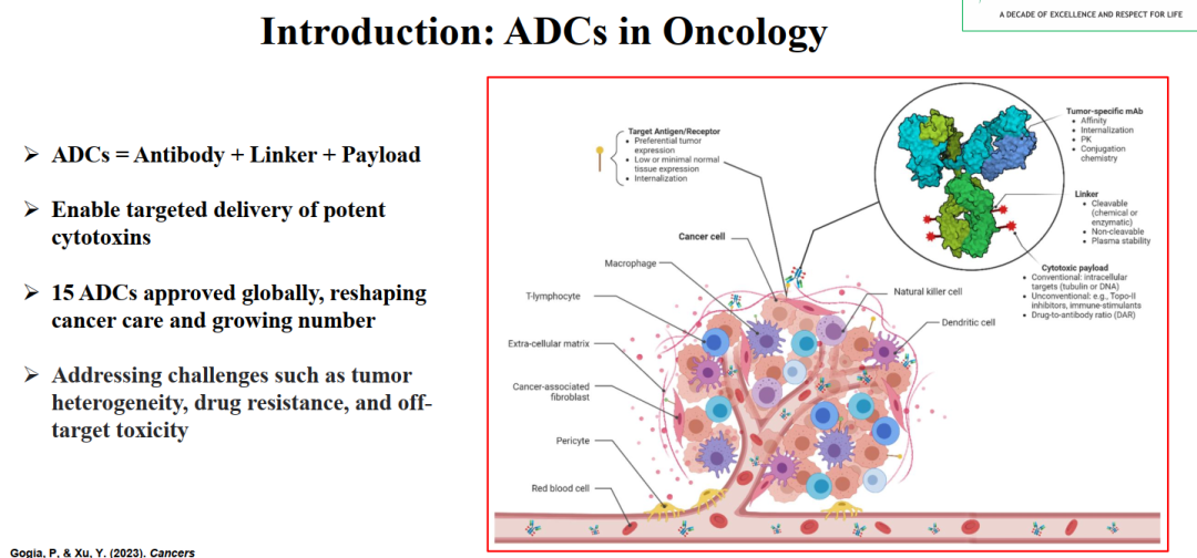 Biomarkers for ADCs: IHC and Beyond