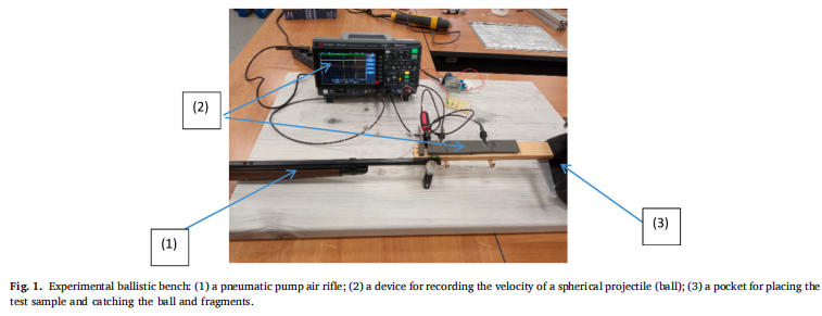 Impact Energy Absorption in Bio-inspired PLA Structures via 3D Printing