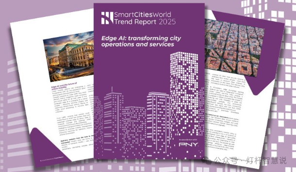 The Integration of Edge AI and Smart Lamp Posts: Transforming Urban Operations and Services