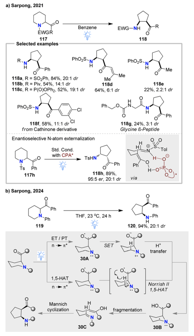 Review by Professor Hongjian Lu's Team at Nanjing University | Recent Advances in Skeleton Editing Based on Nitrogen Atom Manipulation