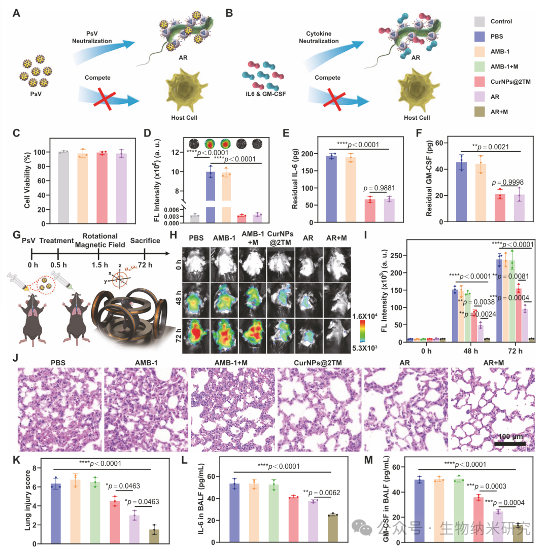Microbots Strike! Yu Yingfeng/Peng Fei/Shen Lihan Nature Subjournal: Magnetically Controlled "Bacterial Team" for Precise Treatment of Pneumonia