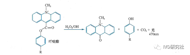 Overview of Chemiluminescent Immunoassay Analyzers