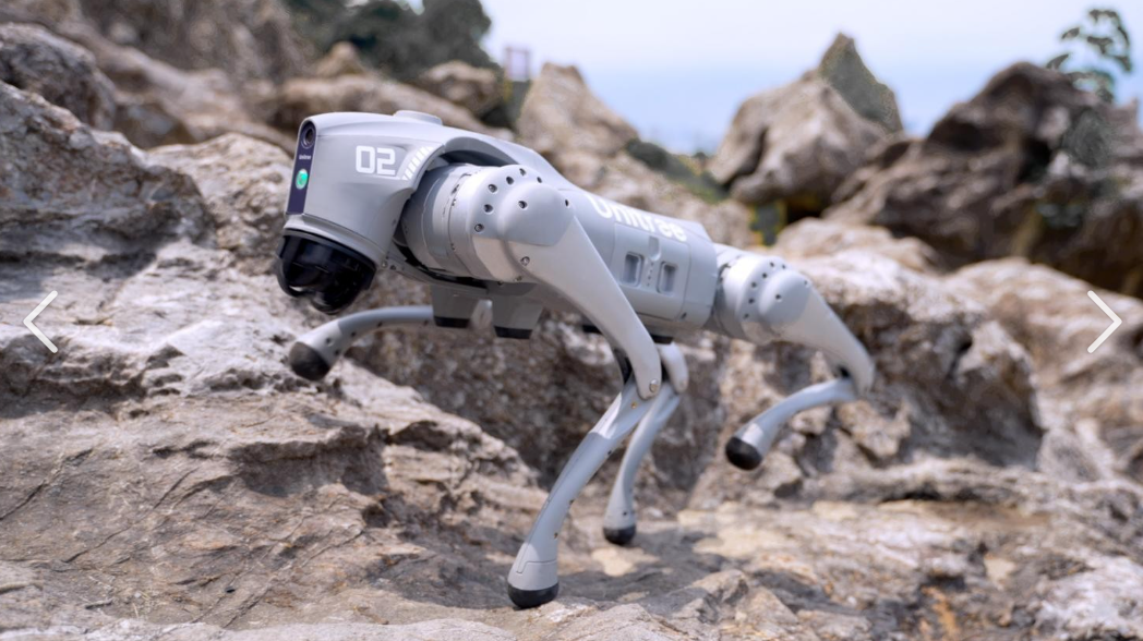 Working? Not a Chance! Robots: If Dogs Don't Work, I Will!
