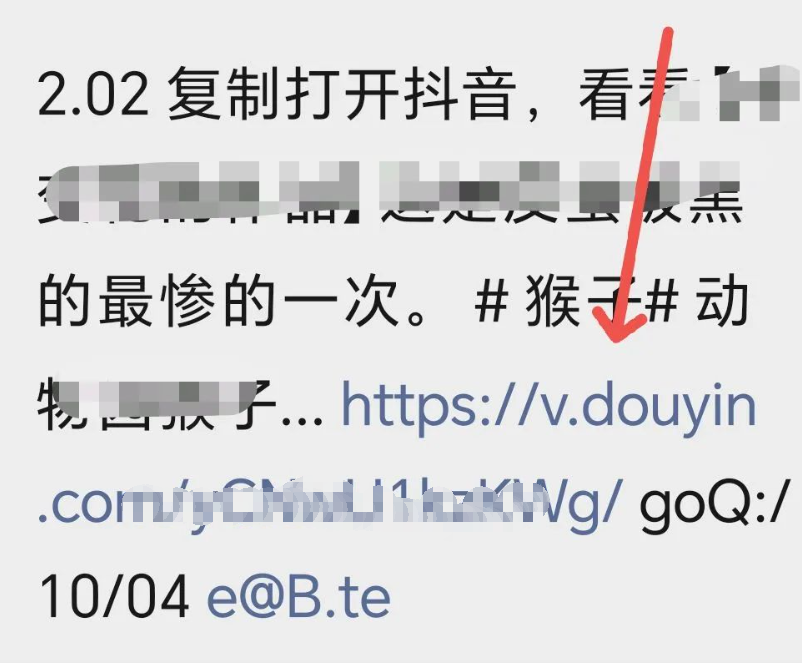 How to Open Douyin Commands? 3 Quick Methods for Douyin and Douyin Lite