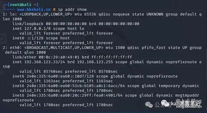 20 Common Network Commands in Kali Linux