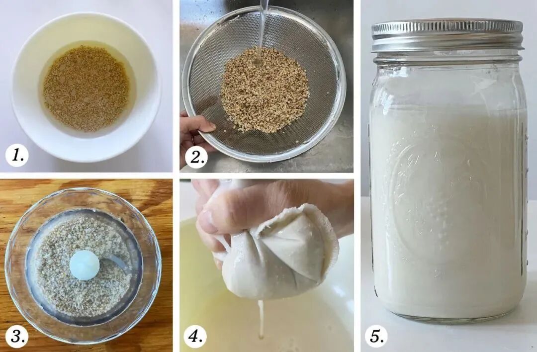 Nutritional Value of Plant-Based Milks: Oat Milk, Soy Milk, Almond Milk, and More