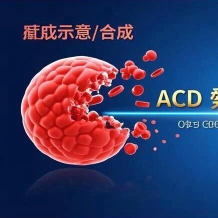 CrossBridgeBio Breaks Through 30 Years of ADC Challenges with Dual Payload Technology
