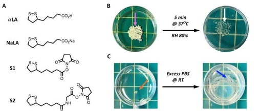 Low Eutectic System of α-Lipoic Acid and Sodium Lipoate: Multifunctional Solid-State Medical Superglue Precursors