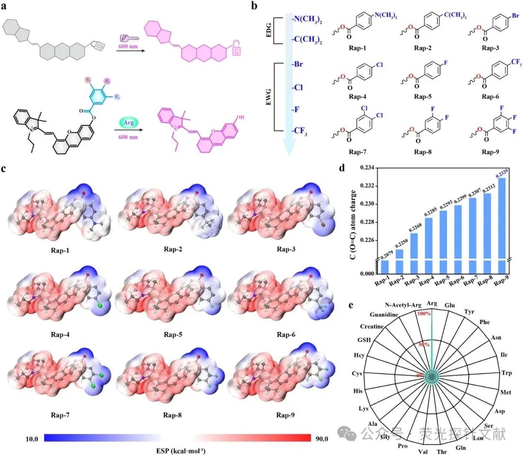East China Normal University - Tian Yang: Revealing Dynamic Changes in Arginine Metabolism During Neuronal Differentiation Through Ratio Fluorescence Imaging