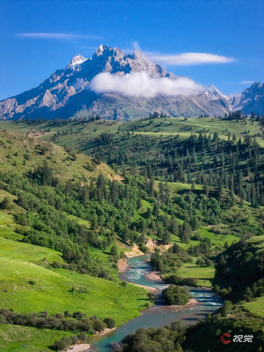 C Vision: A Glimpse of the Snow Mountain (50) | The Intertwining of Snow Mountain and Prairie Flower Sea - The Travel Guide to 'Little Switzerland' in Western Sichuan