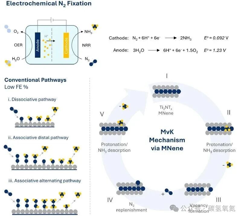 Lattice Nitrogen 'Self-Circulation': The 48% Faradaic Efficiency Code for Converting N₂ to NH₃ with 2D Ti₂NTₓ MXene