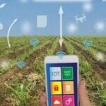 Breakthroughs in Agricultural IoT: Sensors Measure Soil in Real-Time, AI Predicts Yield with 92% Accuracy
