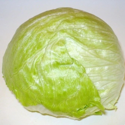A 50-Year-Old Man Returns to Cambridge for an AI PhD, Developing a Robot to Harvest Lettuce Using AI