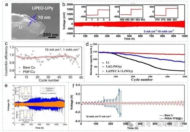 Advancements in Polymer Materials Driving Progress in High Energy Density Lithium-Ion Batteries