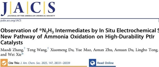 Observation of *N2H3 Intermediates by In Situ Electrochemical SERS: New Pathway of Ammonia Oxidation on High-Durability PtIr Catalysts