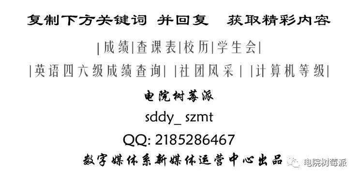 User Manual for the Shandong Youth 'Internet+' Service and Big Data Platform