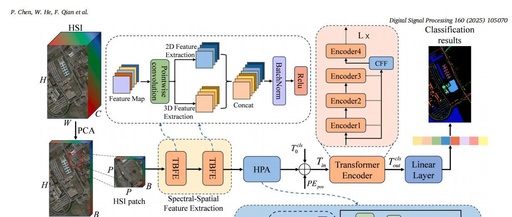 A Synergistic CNN-Transformer Network with Pooling Attention Fusion for Hyperspectral Image Classification