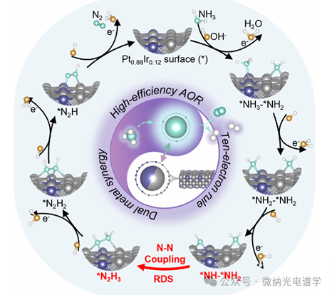 Observation of *N2H3 Intermediates by In Situ Electrochemical SERS: New Pathway of Ammonia Oxidation on High-Durability PtIr Catalysts
