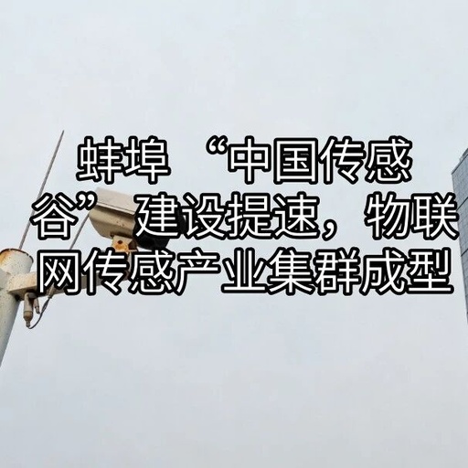 Bengbu Accelerates the Construction of 'China Sensor Valley', Forming an IoT Sensor Industry Cluster