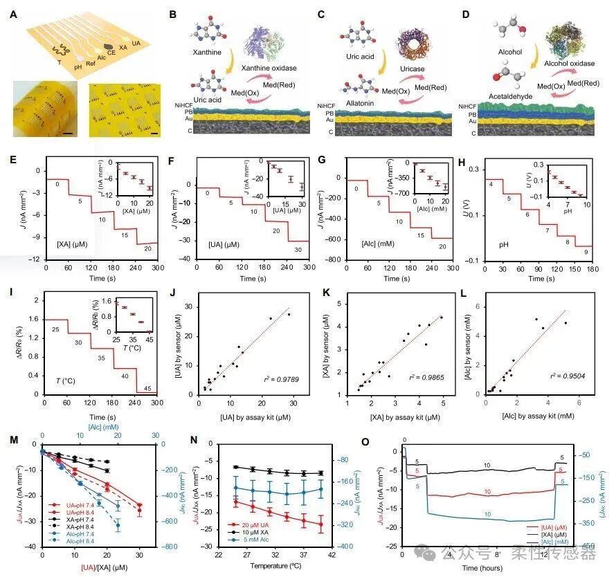 Wearable Sweat Sensor System for Continuous Metabolic Monitoring