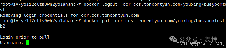 Mastering Docker End-to-End: Container Management, Nginx Homepage Customization, BusyBox Tool Practice, and Tencent Cloud Repository Deployment
