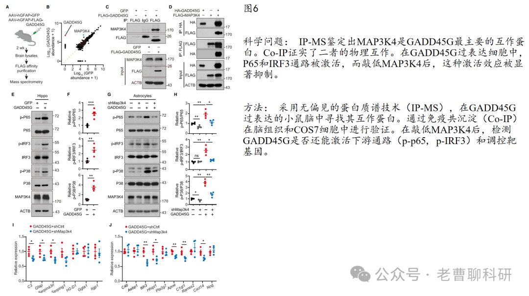 GADD45G as a Pathological Sensor: Coordinating Reactive Gliosis and Neurodegeneration