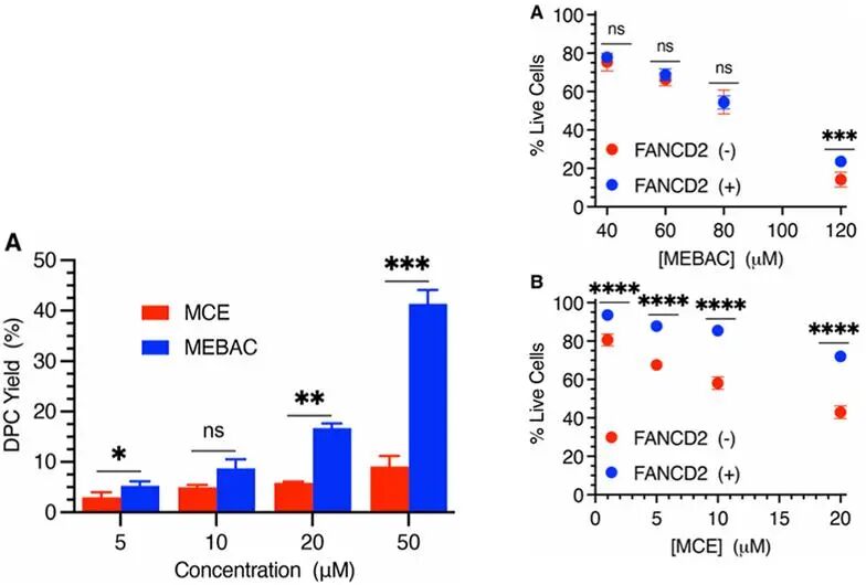 A Novel DNA-Protein Cross-Linking Chemical Probe Reveals the Source of Cytotoxicity from DPC