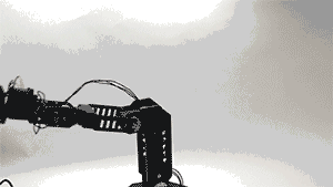 Have Robots Achieved 'Self-Awareness'?