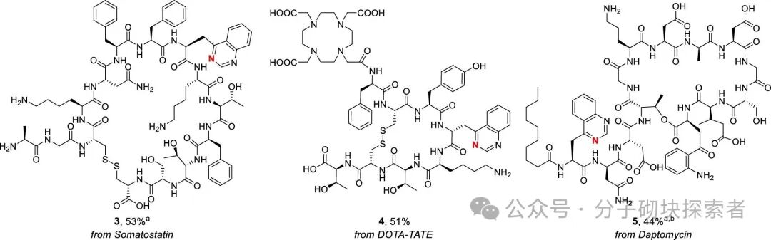 Photocatalytic Indole Ring 'Editing' to Quinazoline for Tryptophan Site-Specific Peptide Modification