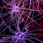 Artificial Intelligence Empowering Full-Course Closed-Loop Management of Neurological Disorders Driven by Terminal Devices