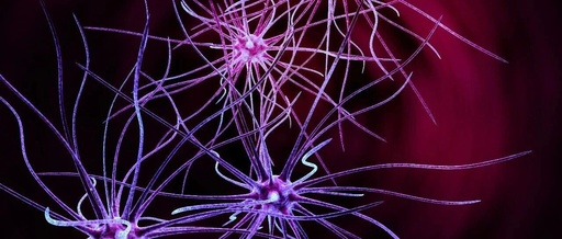 Artificial Intelligence Empowering Full-Course Closed-Loop Management of Neurological Disorders Driven by Terminal Devices