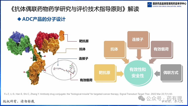 Review Considerations for Antibody-Drug Conjugates (ADC) Pharmaceutical Research
