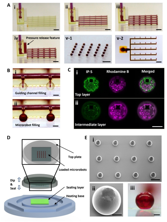 Application Research of Microfluidic Loading and Immersion Sealing Technology in Microrobots for Drug Delivery