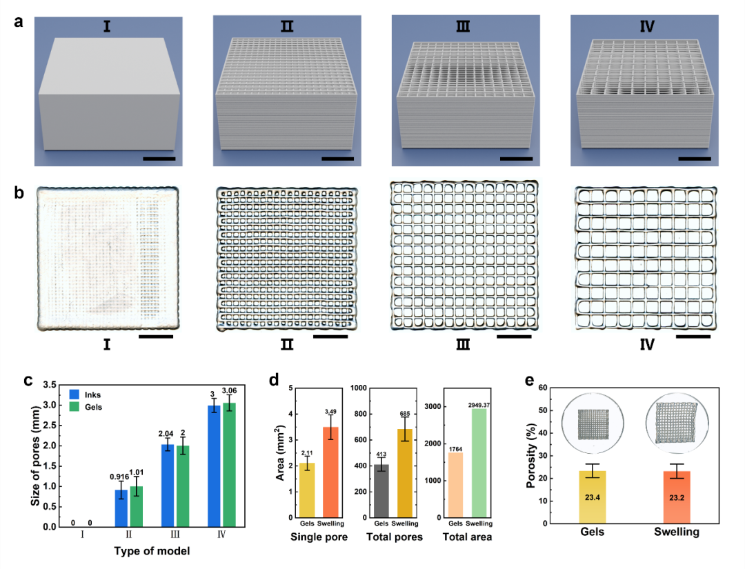 Donghua University Researcher Men Yongjun: The First 3D Printed Plant Growth Medium