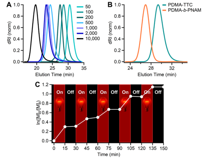 Red Light-Driven, Oxygen-Tolerant RAFT Polymerization Enabled by Methylene Blue