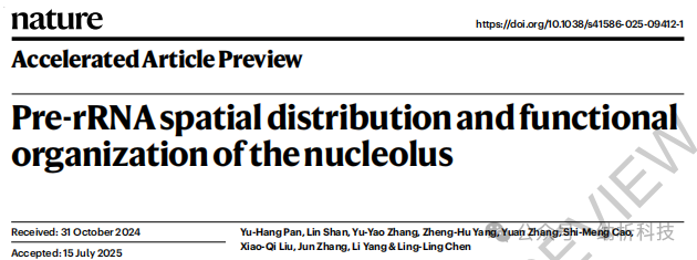 Multi-SIM Supports Publication in Nature: The Spatial Patterns of pre-rRNA Processing and the Multi-Level Structure of the Nucleolus