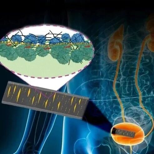Bimodal Skin Sensor for Biomechanical and Electrical Stimulation: A Multifunctional Solution