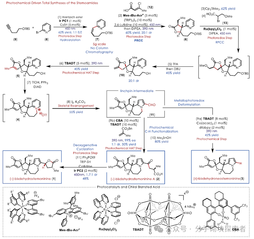 Photochemical Retrosynthetic Analysis Strategy Aids in Developing the Shortest Synthesis Route for Three Stemoamide Alkaloids