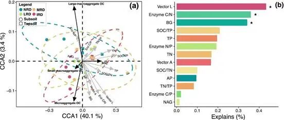 Linking Soil Ecological Stoichiometry of Nutrients and Microbial Enzyme Activity to Bulk and Aggregate-Associated Organic Carbon in Karst Rocky Desertification