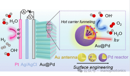 Impact of Hot Carrier Dynamics on Photoelectrocatalytic Activity on Au@Pd Antenna-Reactor Nanoparticles