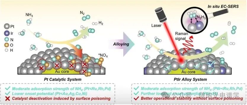 Observation of *N2H3 Intermediates by In Situ Electrochemical SERS: New Pathway of Ammonia Oxidation on High-Durability PtIr Catalysts