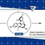 N-Protonated Acridinium Catalyst Enables Anti-Markovnikov Hydration of Unconjugated Tri- and Disubstituted Olefins
