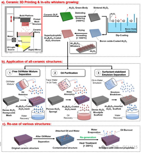In Situ Grown Whisker Coated Ceramic Structures via 3D Printing for Efficient Oil-Water Separation