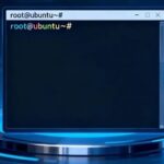 Using Xray for Proxy Traffic Splitting on Domestic Servers/Linux Systems to Solve the Challenge of Accessing Overseas Resources