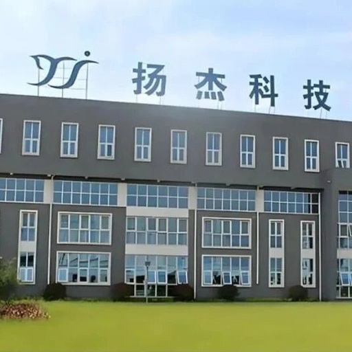 Yangzhou's Female Chip CEO Leads a 2.2 Billion Acquisition