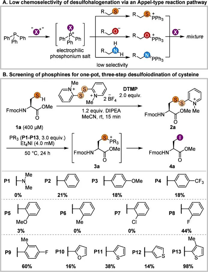 Opening New Pathways for Peptide Modification: Direct Editing of Cysteine Side Chains to Electrophilic Alkyl Halides