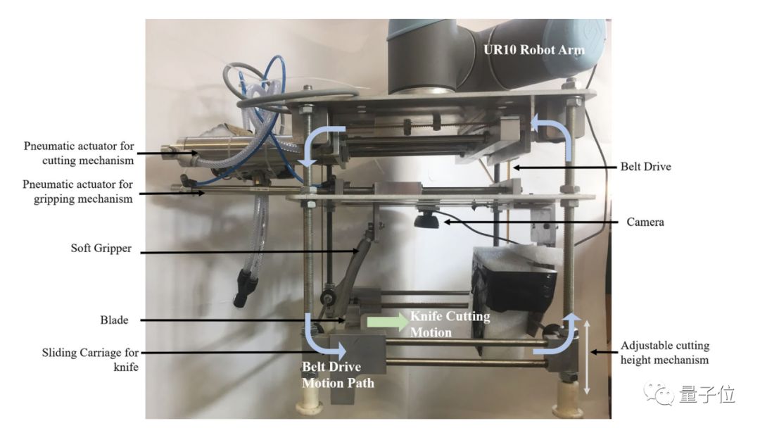 A 50-Year-Old Man Returns to Cambridge for an AI PhD, Developing a Robot to Harvest Lettuce Using AI