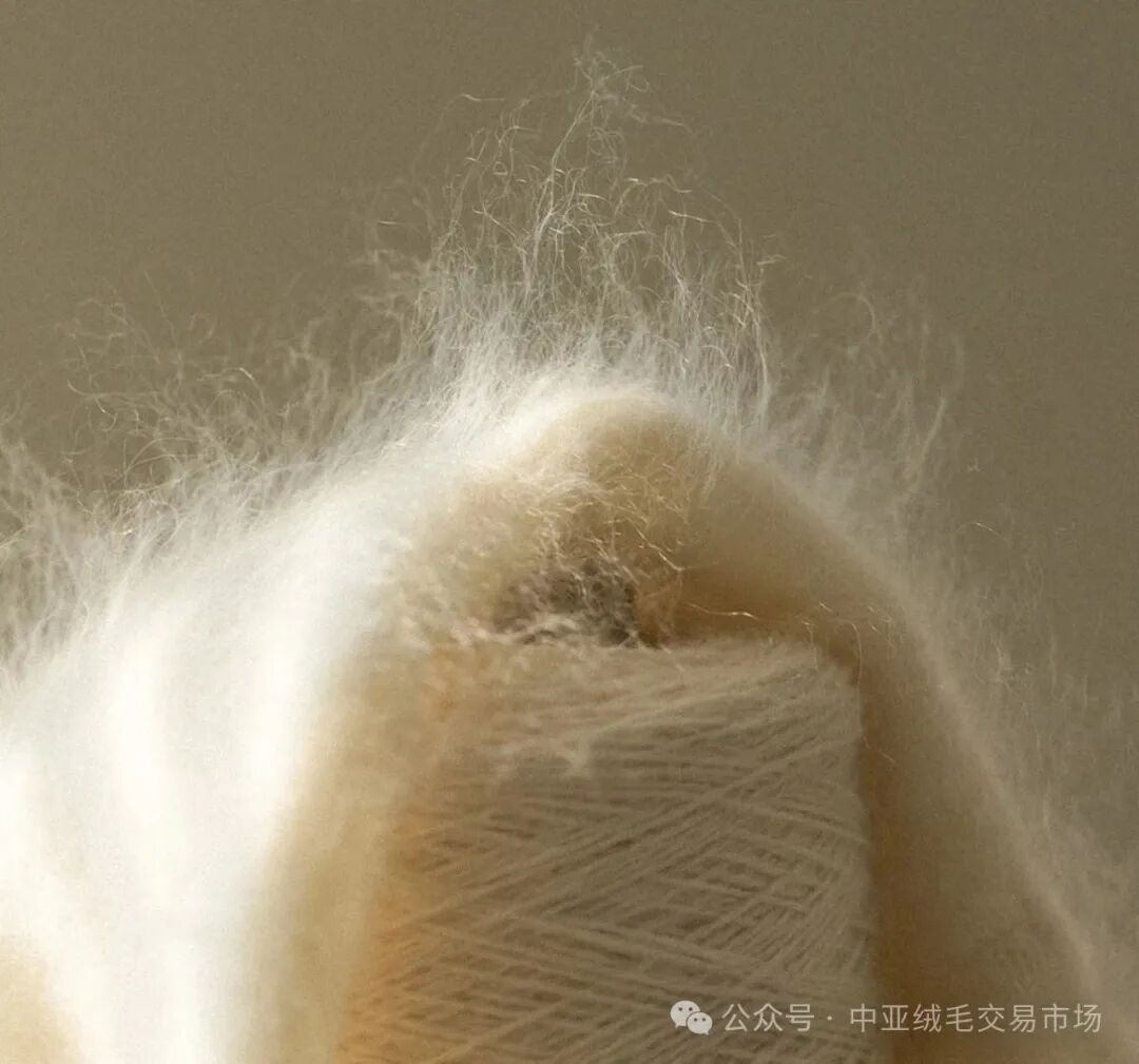 Reflections on Chinese Cashmere: How Far Are We from the 'Loro Piana Myth'?